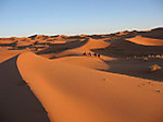 Splendidedune_3