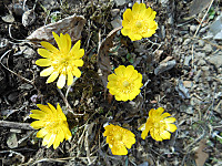 20130303s