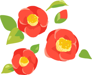 Tubaki_l
