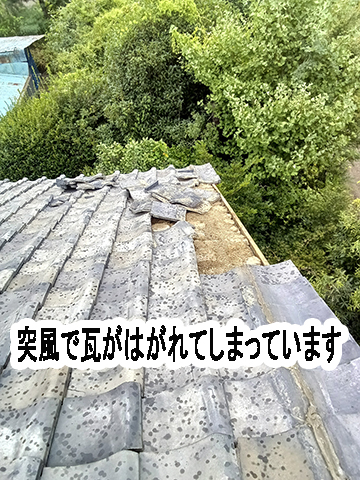 Kimg20250904_120644664s