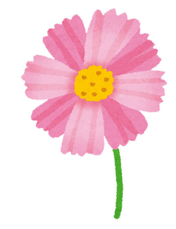 Flower_cosmos
