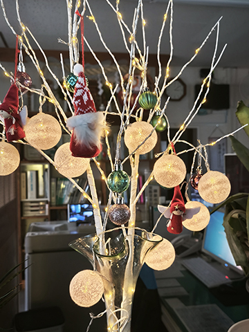 1000008205 1000008205