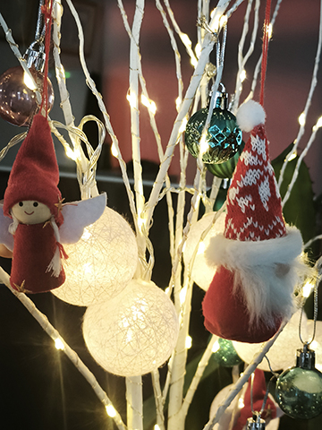 1000008209 1000008209