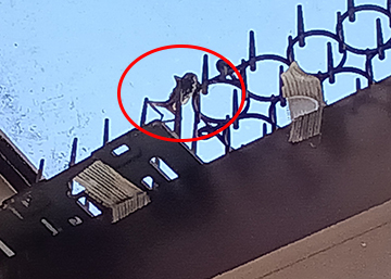 Kimg20260204_073616937