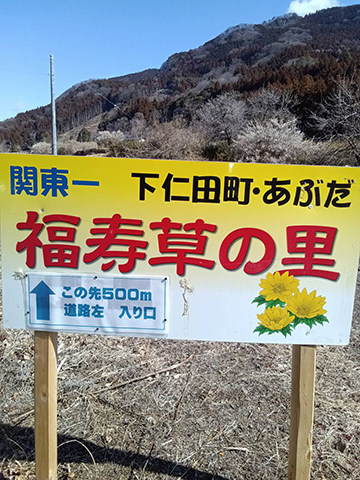 1773013606788 1773013606788