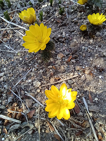 1773013607305 1773013607305