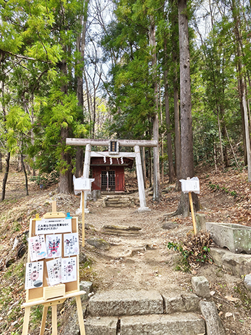 1000008736 1000008736