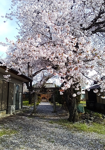 Kimg20260405_080301811s