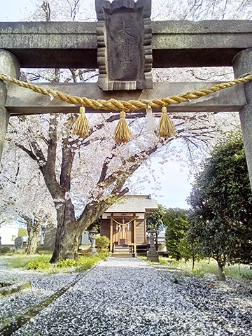 Kimg20260405_080405036s